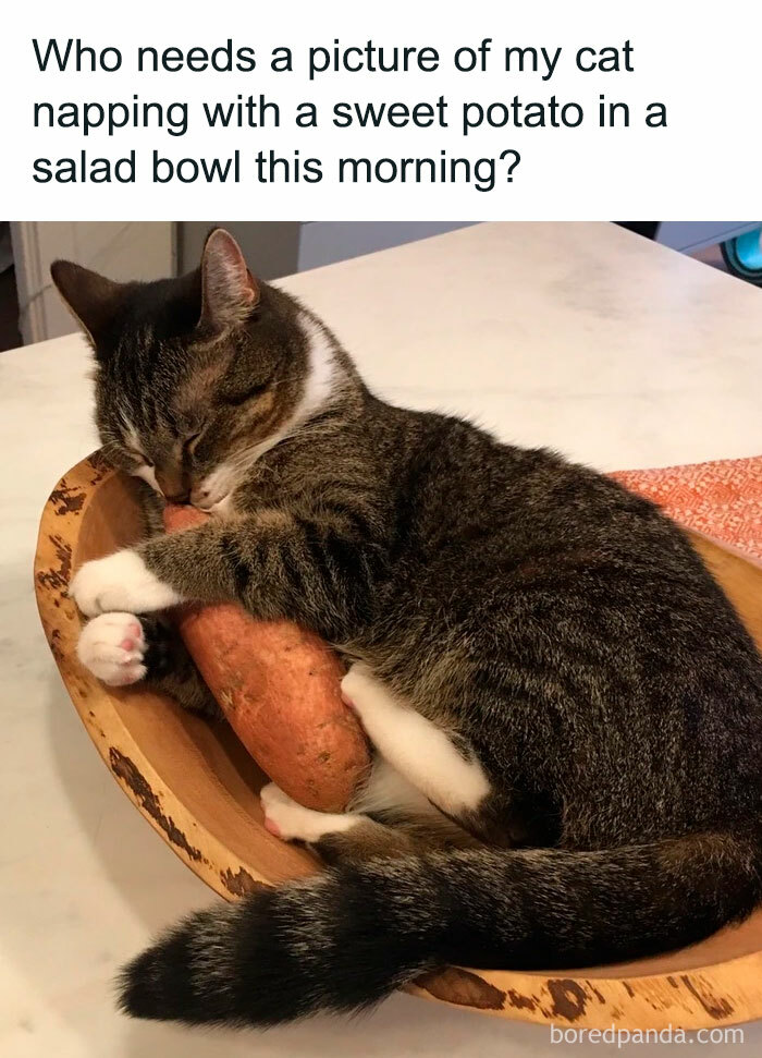 Sandra Wagner
