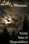 Like a Moonrise